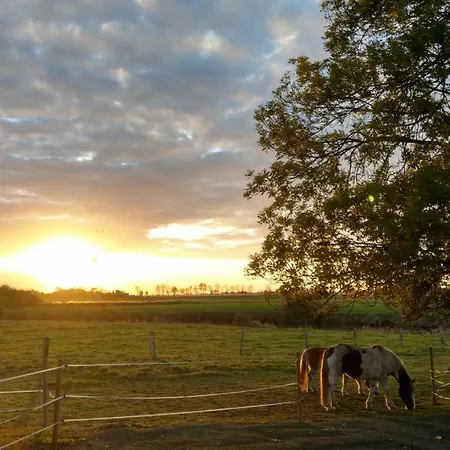 Im Stall Lune River Ranch Apartment Loxstedt